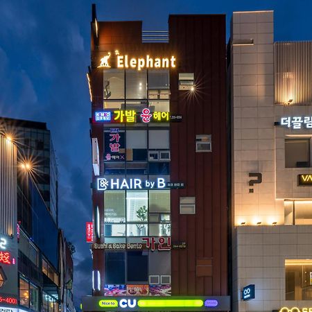 Elephant بوسان المظهر الخارجي الصورة