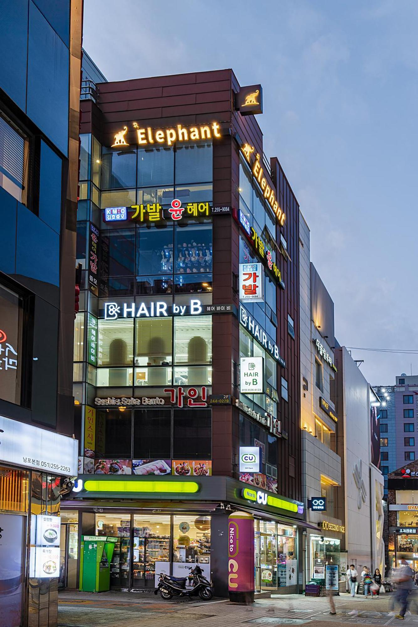 Elephant بوسان المظهر الخارجي الصورة